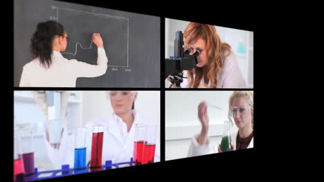 Several-different-short-clips-showing-lab-assistants