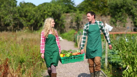 Pretty-couple-holding-a-case-full-of-vegetables-together