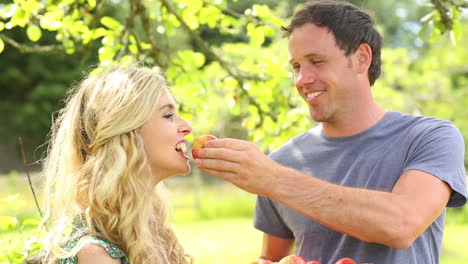 Happy-couple-eating-apples-together-in-a-garden
