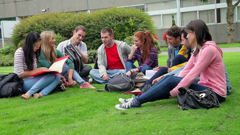 Studenten-Die-Zusammen-Auf-Dem-Gras-Sitzen-Und-Plaudern