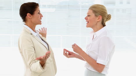 Businesswomen-having-a-heated-debate