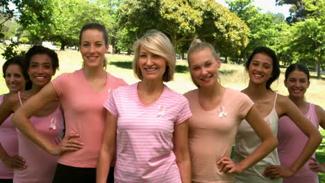 Gruppe-Von-Frauen,-Die-Im-Park-Rosa-Gegen-Brustkrebs-Tragen