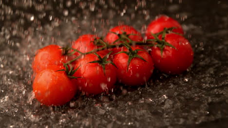 Water-raining-on-cherry-tomatoes