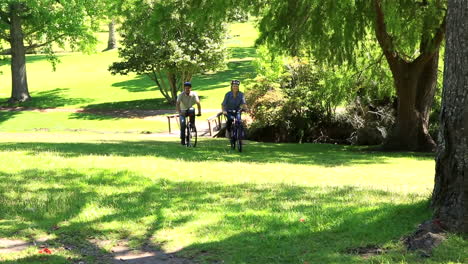Happy-couple-going-for-a-bike-ride-in-the-park