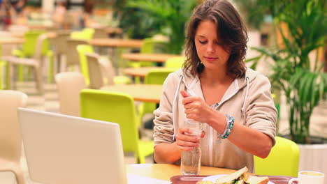 Cheerful-student-studying-while-having-lunch-in-canteen