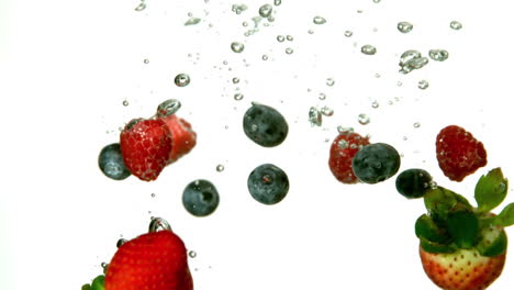 Berries-falling-in-water-on-white-background