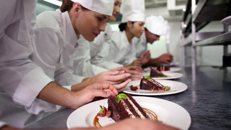 Chefs-standing-in-a-row-garnishing-dessert-plates