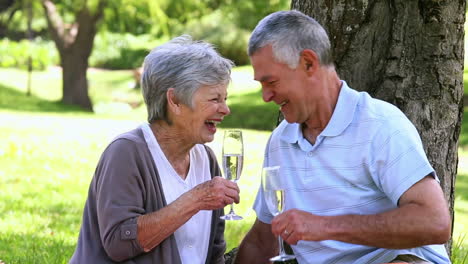 Älteres-Paar-Entspannt-Sich-Gemeinsam-Im-Park-Und-Trinkt-Champagner