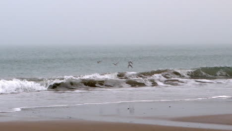 Waves-crashing-on-the-beach