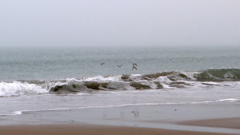 Olas-Rompiendo-En-La-Playa