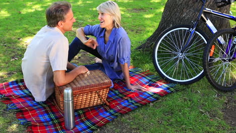 Pareja-Feliz-Haciendo-Un-Picnic-En-El-Parque