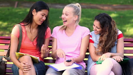 Students-chatting-together-outside-on-a-bench