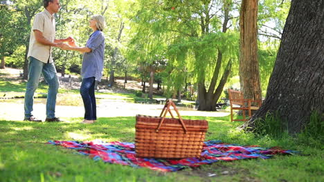 Pareja-Feliz-Haciendo-Un-Picnic-En-El-Parque