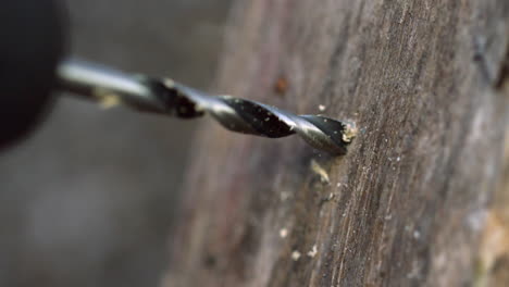 Bohrer-Bohren-In-Ein-Holzbrett