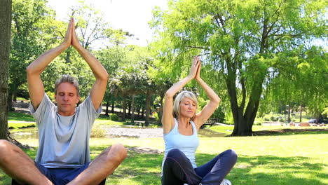 Paar-Macht-Zusammen-Yoga-Im-Park