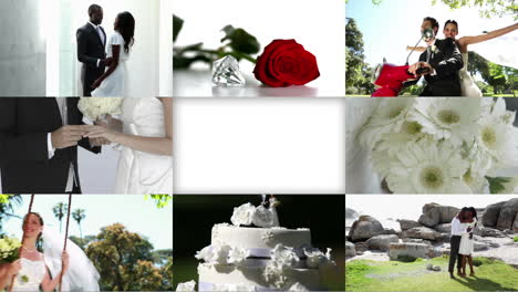 Wedding-day-montage