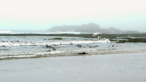 Waves-rolling-in-on-the-beach