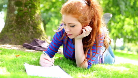 Student-lying-on-the-grass-making-notes