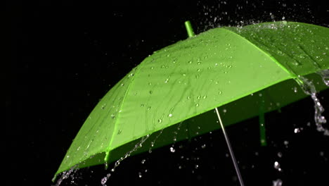 Rain-falling-on-green-umbrella