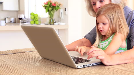 Grandmother-using-laptop-with-her-granddaughter