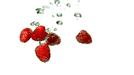 Strawberries-falling-in-water-on-white-background