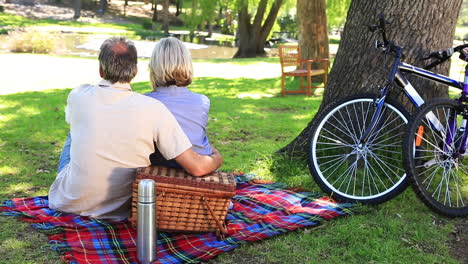 Glückliches-Paar-Bei-Einem-Picknick-Im-Park