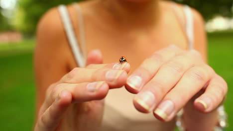 Tiny-ladybird-crawling-over-girls-hands