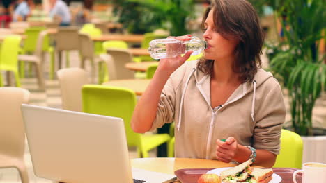 Brünette-Studentin-Studiert-Beim-Mittagessen-In-Der-Kantine