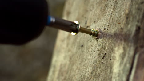 Drill-drilling-nail-into-a-wooden-board