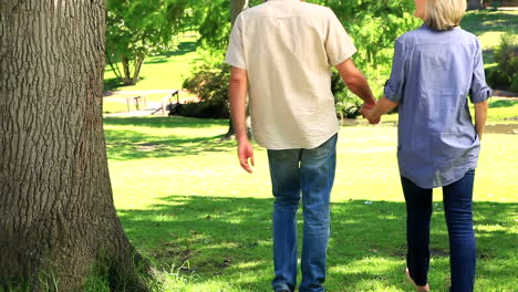 Happy-couple-walking-in-the-park