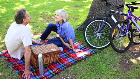 Pareja-Feliz-Haciendo-Un-Picnic-En-El-Parque