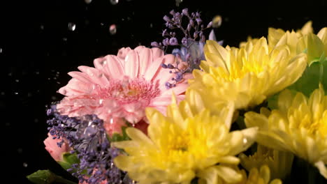 Water-dropping-onto-fresh-flowers