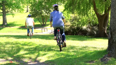 Pareja-Feliz-Yendo-A-Dar-Un-Paseo-En-Bicicleta-Por-El-Parque