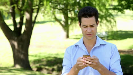 Handsome-man-sending-a-text-in-the-park