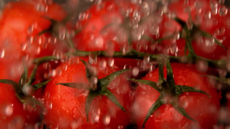 Wasser-Regnet-Auf-Kirschtomaten