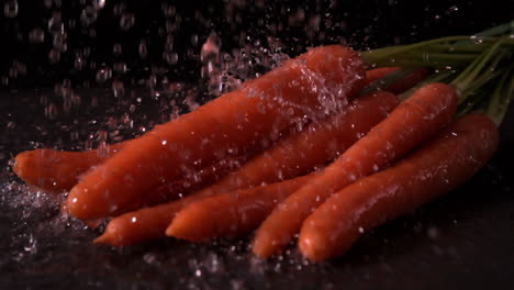 Agua-Lloviendo-Sobre-Zanahorias