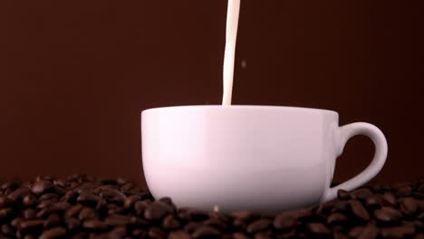 Milk-pouring-into-white-coffee-cup