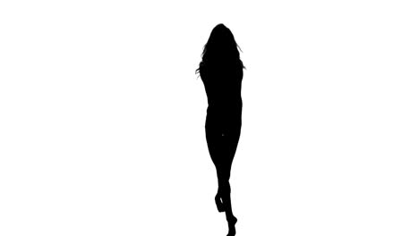 Pretty-woman-ballet-dancing-silhouette