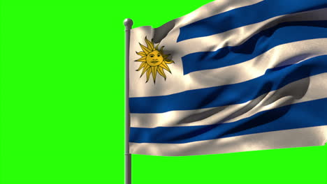 Uruguay-national-flag-waving-on-flagpole