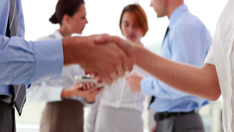 Business-people-shaking-their-hands-