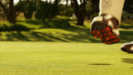 Hombre-Poniendo-Su-Pelota-De-Golf-Y-Animando