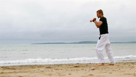 Fit-man-practicing-martial-arts