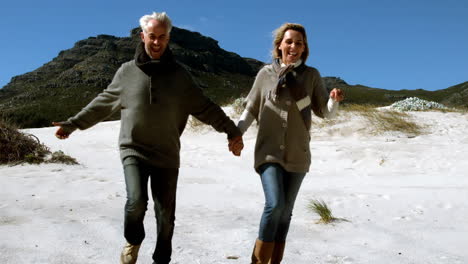 Carefree-mature-couple-running-holding-hands-on-beach