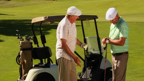 Zwei-Männliche-Freunde-Unterhalten-Sich-Auf-Dem-Golfplatz-Bei-Ihrem-Kart