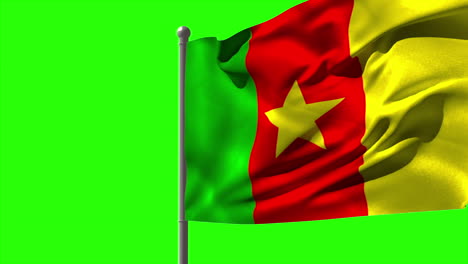 Cameroon-national-flag-waving-on-flagpole