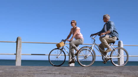 Pareja-Mayor-Yendo-A-Dar-Un-Paseo-En-Bicicleta-Por-La-Ciudad-En-El-Muelle