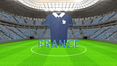 Frankreich-WM-Nachricht-Mit-Trikot-Und-Text