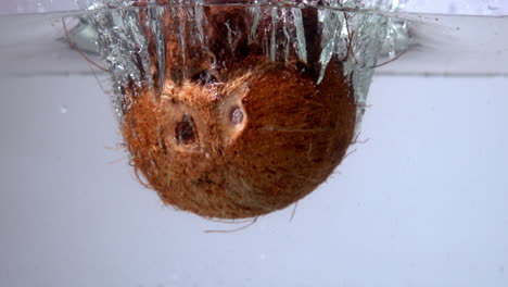 Coconut-falling-in-water-on-white-background