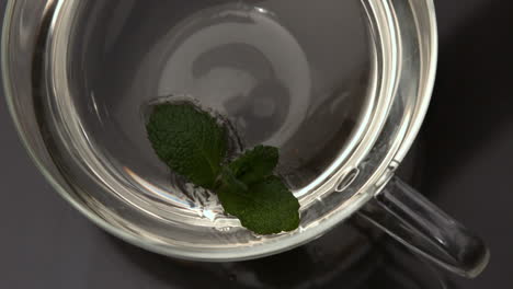 Mint-leaf-falling-into-glass-cup-of-water