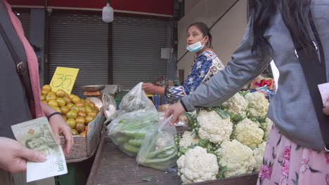 Eine-Frau-Aus-Der-Gegend-Pflegt-Ihren-Farbenfrohen-Gemüsestand-Mit-Frischem-Grün,-Reifen-Tomaten,-Knackigen-Gurken-Und-Duftenden-Kräutern